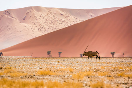 Immobilien Beratung Namibia